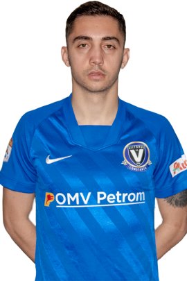 Razvan Gradinaru