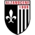 logo Virtus Bergamo Alzano