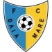 logo Baia Mare