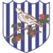 logo West Bromwich Albion