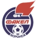 logo Fakel Voronezh