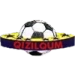 logo Qizilqum Zarafshon