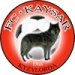 logo Kaysar-Hurricane