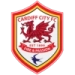 logo Cardiff City