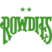 logo Tampa Bay Rowdies