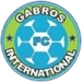 logo Gabros International