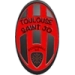 logo Toulouse MFC