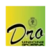 logo Dro Garda Calcio