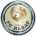 logo Nasaf Qarshi