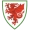 logo Gales U-21