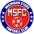logo Michigan Stars
