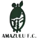 logo Zulu Royals