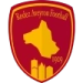 logo Stade Ruthénois
