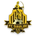 logo Siauliai