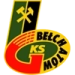 logo GKS Belchatow