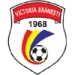 logo Victoria Branesti