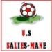 logo Salies Mane