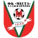 logo Mesta Hadjidimovo