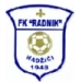 logo Radnik Hadzici