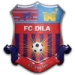 logo Dila Gori