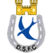 logo Dungannon Swifts