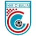 logo Dinamo Vinkovci