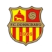 logo Domagnano