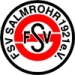 logo Salmrohr