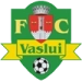 logo Vaslui