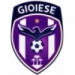 logo Gioiese