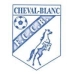 logo Cheval Blanc