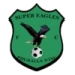 logo Super Eagles