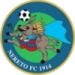 logo Nereto FC
