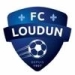 logo Loudun