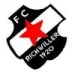 logo Richwiller