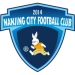 logo Nanjing City