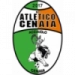 logo Cenaia