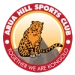 logo Arua Hill