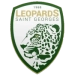logo Léopards Saint-Georges