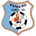 logo Pandurii Targu-Jiu