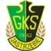 logo GKS Jastrzebie