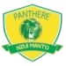 logo Panthère Bangangté
