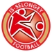 logo Selongey