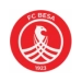 logo Besa Peje