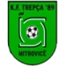 logo Trepça'89