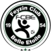 logo Feyzin