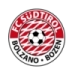 logo Südtirol-Alto Adige