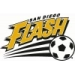 logo San Diego Flash