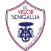 logo Vigor Senigallia