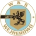 logo Gryf Wejherowo